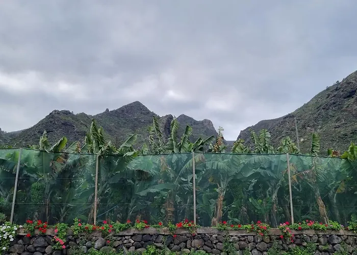 Apartment Edif La Luz No 4 With Big Private Terrace *